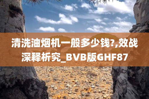 清洗油烟机一般多少钱?,效战深释析究_BVB版GHF87