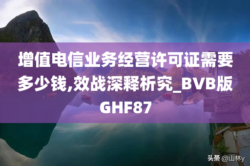 增值电信业务经营许可证需要多少钱,效战深释析究_BVB版GHF87