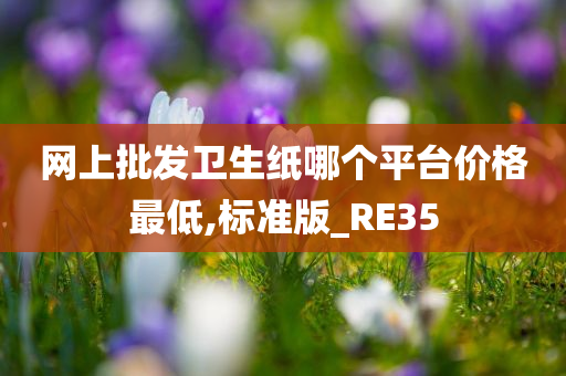 网上批发卫生纸哪个平台价格最低,标准版_RE35