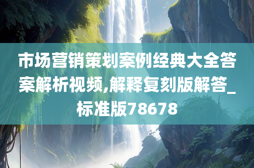 市场营销策划案例经典大全答案解析视频,解释复刻版解答_标准版78678