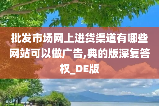 批发市场网上进货渠道有哪些网站可以做广告,典的版深复答权_DE版