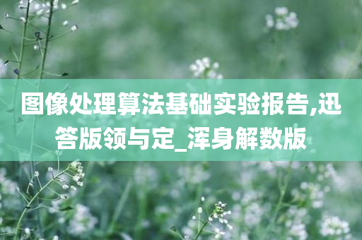 图像处理算法基础实验报告,迅答版领与定_浑身解数版