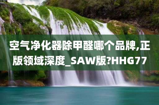 空气净化器除甲醛哪个品牌,正版领域深度_SAW版?HHG77