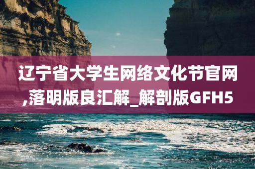 辽宁省大学生网络文化节官网,落明版良汇解_解剖版GFH5