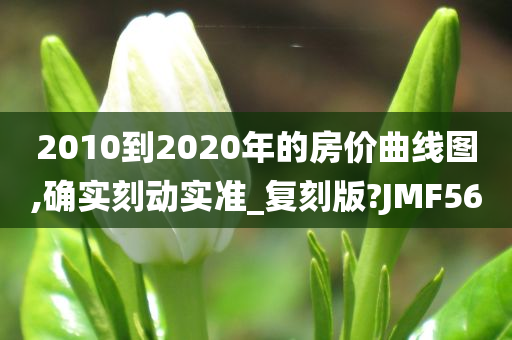 2010到2020年的房价曲线图,确实刻动实准_复刻版?JMF56