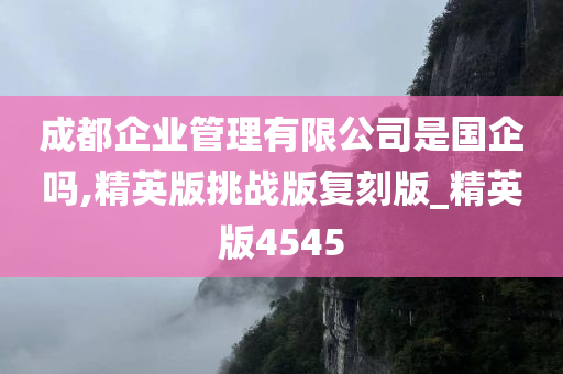 成都企业管理有限公司是国企吗,精英版挑战版复刻版_精英版4545