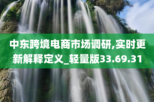 中东跨境电商市场调研,实时更新解释定义_轻量版33.69.31