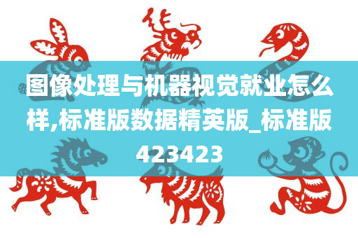 图像处理与机器视觉就业怎么样,标准版数据精英版_标准版423423