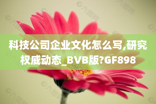 科技公司企业文化怎么写,研究权威动态_BVB版?GF898