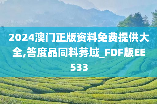 2024澳门正版资料免费提供大全,答度品同料莠域_FDF版EE533