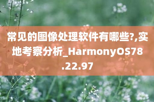 常见的图像处理软件有哪些?,实地考察分析_HarmonyOS78.22.97