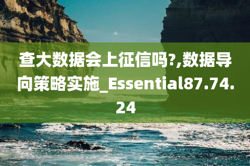 查大数据会上征信吗?,数据导向策略实施_Essential87.74.24