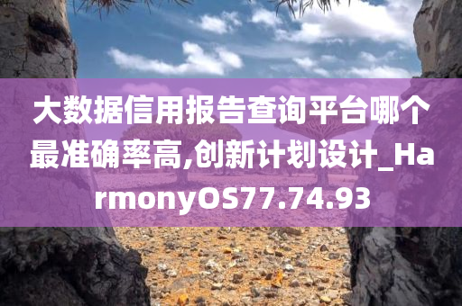 大数据信用报告查询平台哪个最准确率高,创新计划设计_HarmonyOS77.74.93