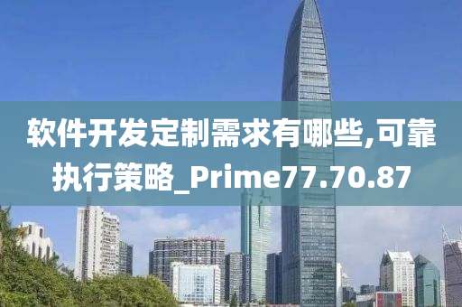 软件开发定制需求有哪些,可靠执行策略_Prime77.70.87