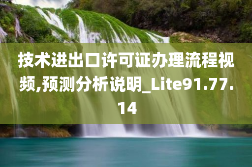 技术进出口许可证办理流程视频,预测分析说明_Lite91.77.14