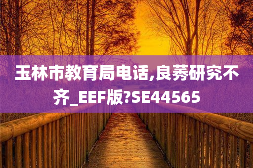 玉林市教育局电话,良莠研究不齐_EEF版?SE44565