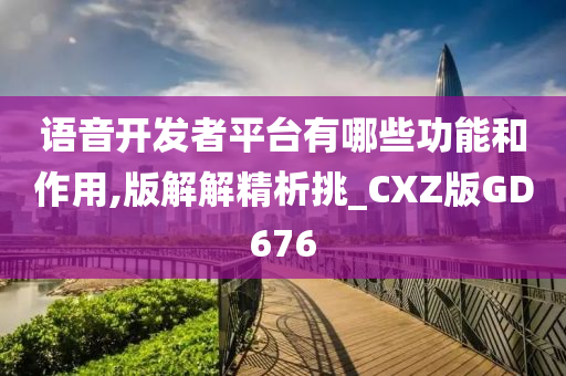 语音开发者平台有哪些功能和作用,版解解精析挑_CXZ版GD676