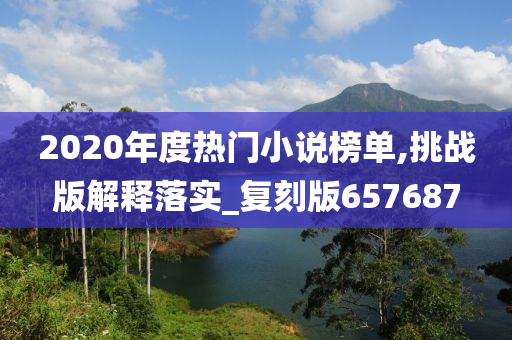 2020年度热门小说榜单,挑战版解释落实_复刻版657687