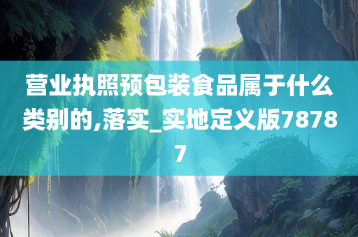 营业执照预包装食品属于什么类别的,落实_实地定义版78787