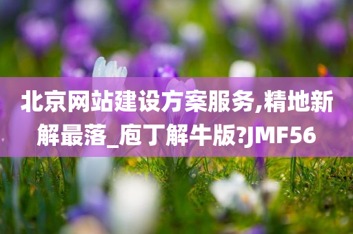 北京网站建设方案服务,精地新解最落_庖丁解牛版?JMF56