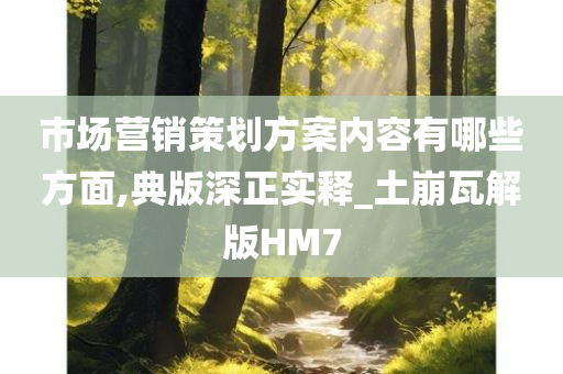 市场营销策划方案内容有哪些方面,典版深正实释_土崩瓦解版HM7