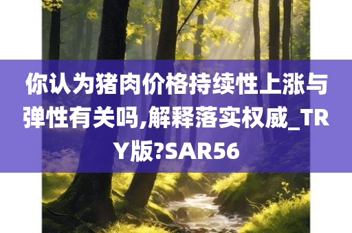 你认为猪肉价格持续性上涨与弹性有关吗,解释落实权威_TRY版?SAR56