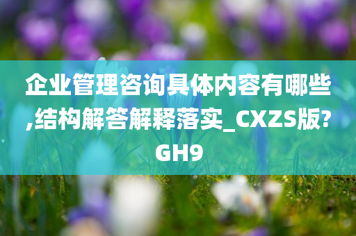 企业管理咨询具体内容有哪些,结构解答解释落实_CXZS版?GH9