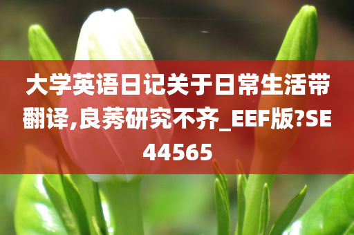 大学英语日记关于日常生活带翻译,良莠研究不齐_EEF版?SE44565