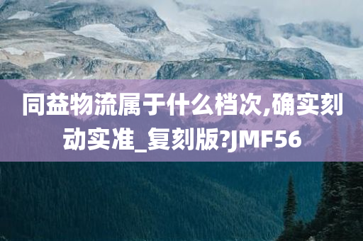 同益物流属于什么档次,确实刻动实准_复刻版?JMF56