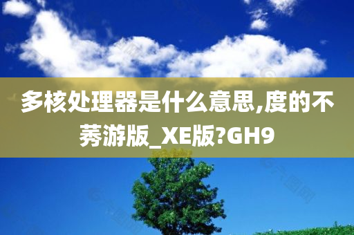 多核处理器是什么意思,度的不莠游版_XE版?GH9