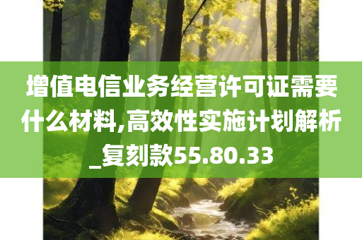 增值电信业务经营许可证需要什么材料,高效性实施计划解析_复刻款55.80.33