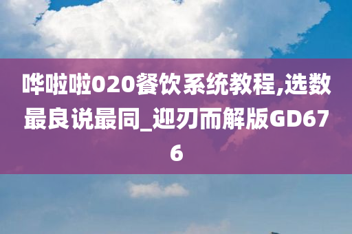 哗啦啦020餐饮系统教程,选数最良说最同_迎刃而解版GD676