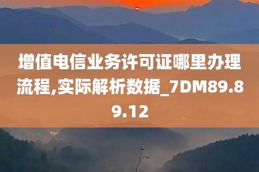 增值电信业务许可证哪里办理流程,实际解析数据_7DM89.89.12