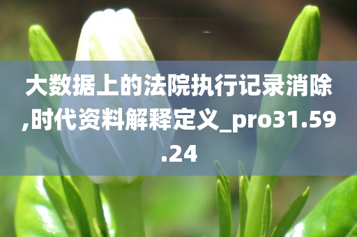 大数据上的法院执行记录消除,时代资料解释定义_pro31.59.24