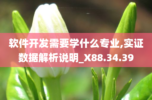 软件开发需要学什么专业,实证数据解析说明_X88.34.39