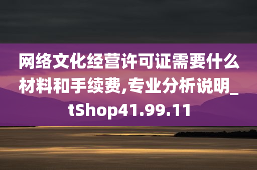 网络文化经营许可证需要什么材料和手续费,专业分析说明_tShop41.99.11