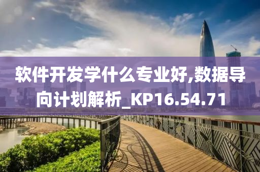 软件开发学什么专业好,数据导向计划解析_KP16.54.71