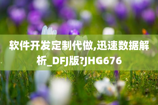 软件开发定制代做,迅速数据解析_DFJ版?JHG676