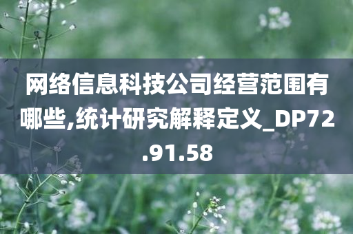 网络信息科技公司经营范围有哪些,统计研究解释定义_DP72.91.58