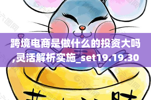 跨境电商是做什么的投资大吗,灵活解析实施_set19.19.30