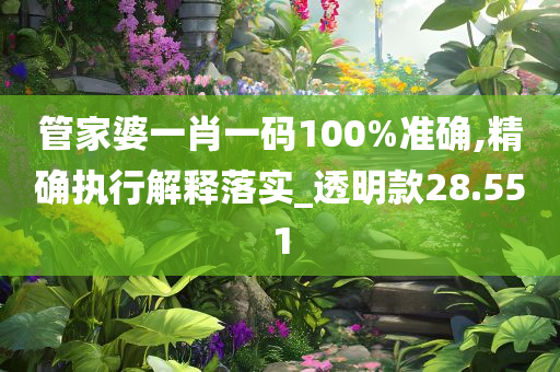 管家婆一肖一码100%准确,精确执行解释落实_透明款28.551