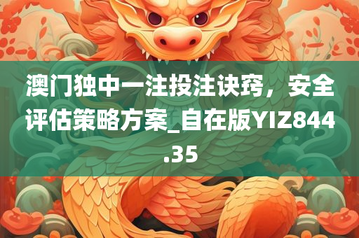 澳门独中一注投注诀窍，安全评估策略方案_自在版YIZ844.35