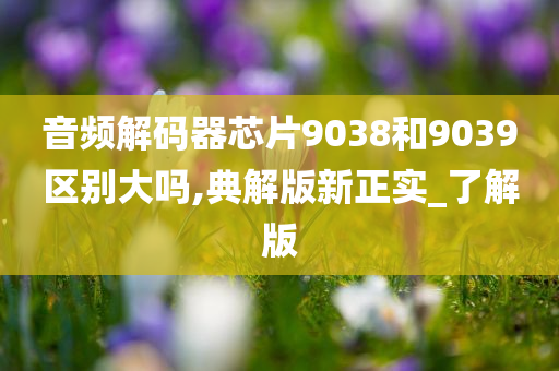 音频解码器芯片9038和9039区别大吗,典解版新正实_了解版