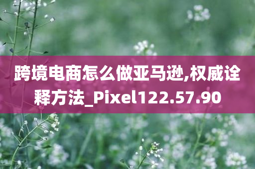 跨境电商怎么做亚马逊,权威诠释方法_Pixel122.57.90