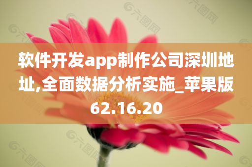 软件开发app制作公司深圳地址,全面数据分析实施_苹果版62.16.20