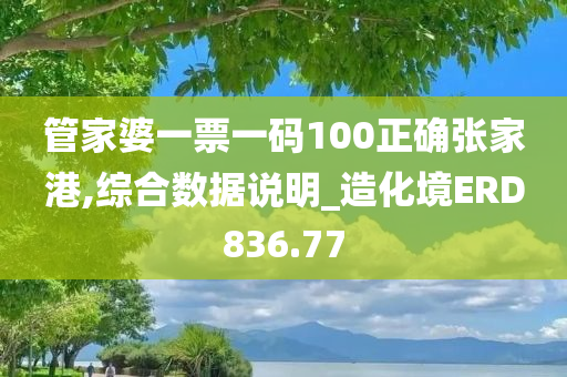 管家婆一票一码100正确张家港,综合数据说明_造化境ERD836.77