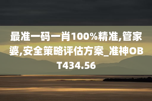 最准一码一肖100%精准,管家婆,安全策略评估方案_准神OBT434.56