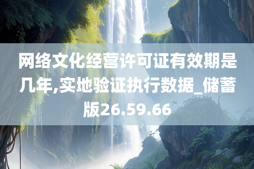 网络文化经营许可证有效期是几年,实地验证执行数据_储蓄版26.59.66