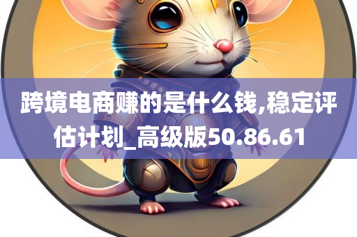 跨境电商赚的是什么钱,稳定评估计划_高级版50.86.61