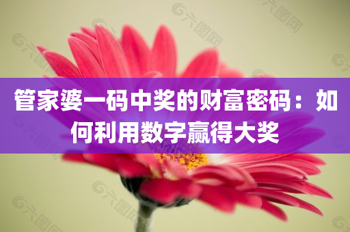 管家婆一码中奖的财富密码：如何利用数字赢得大奖